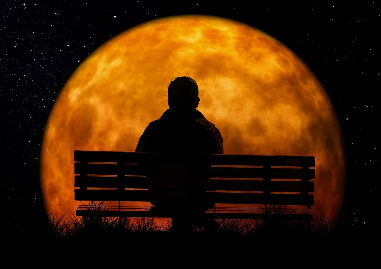 Cover image for “Senses”